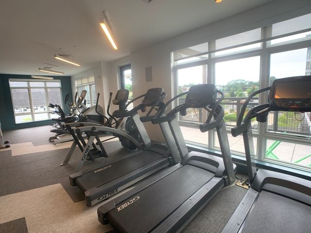 180 Telford St 213, Boston, MA 02135