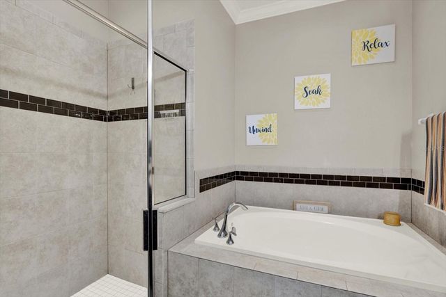 11513 BLUE CRANE STREET, Riverview, FL 33569