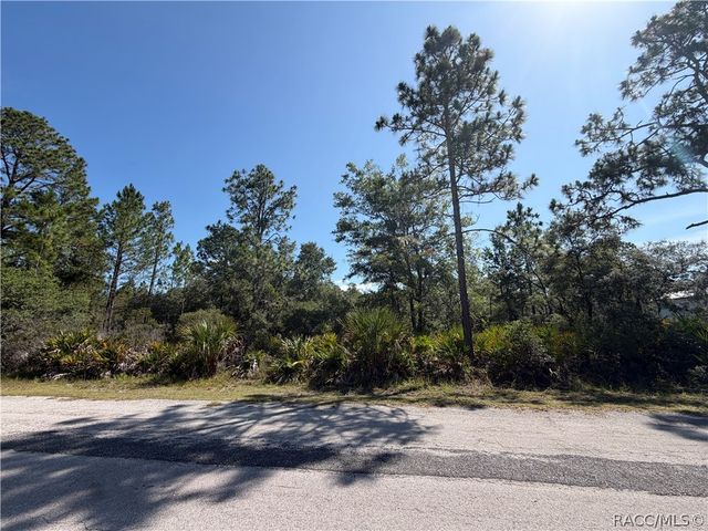 9614 N Dawnflower Avenue, Crystal River, FL 34428
