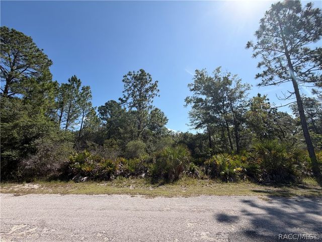 9614 N Dawnflower Avenue, Crystal River, FL 34428