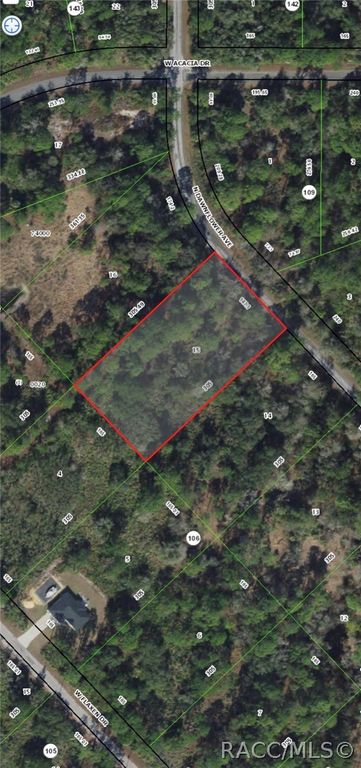 9614 N Dawnflower Avenue, Crystal River, FL 34428