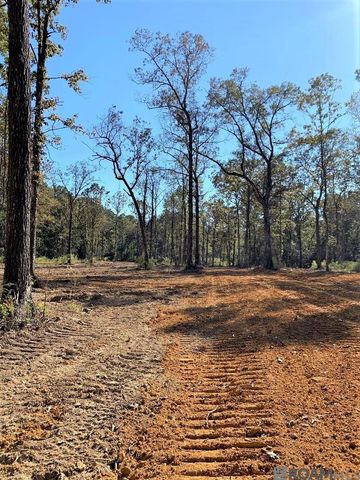 1B La Hwy 63, Clinton, LA 70722