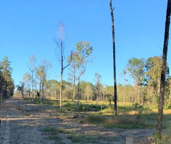 1B La Hwy 63, Clinton, LA 70722