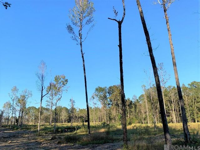 1B La Hwy 63, Clinton, LA 70722