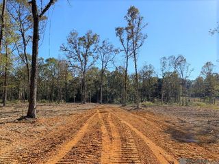 1B La Hwy 63, Clinton, LA 70722