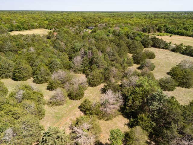 TBD 13 Acres County Road 1134, Lone Oak, TX 75453