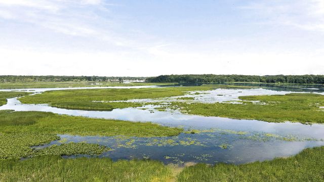 3126 Red Oak Drive, Saugatuck Twp, MI 49453