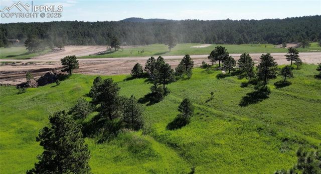 17629 Emerson Cliff Court, Colorado Springs, CO 80908