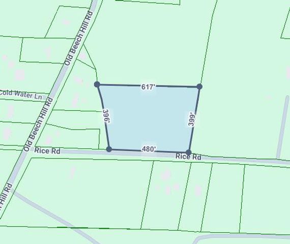0 Rice Road, Ridgeville, SC 29472