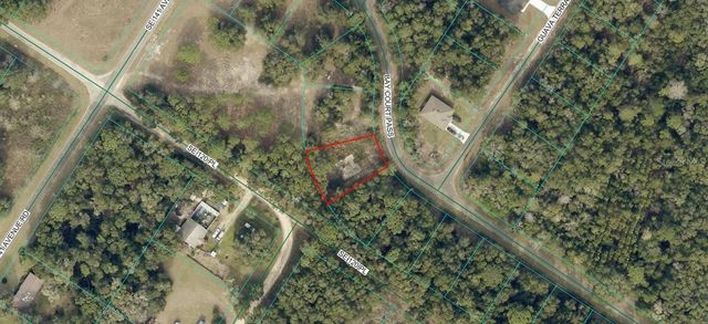 77 BAY COURT PASS, Ocklawaha, FL 32179