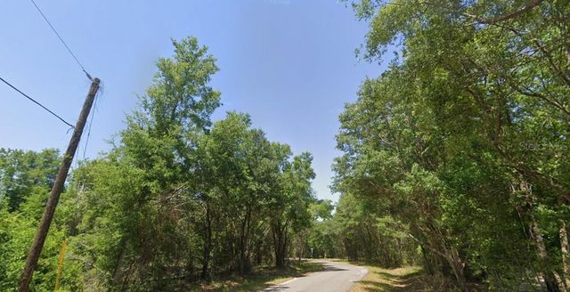 77 BAY COURT PASS, Ocklawaha, FL 32179