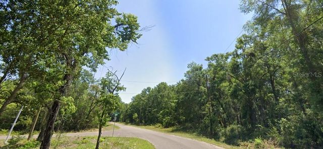 77 BAY COURT PASS, Ocklawaha, FL 32179