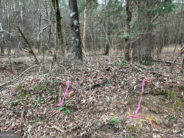 0 Popham Road TRACT 3, Taylorsville, GA 30178