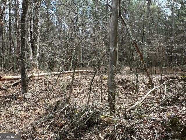 0 Popham Road TRACT 3, Taylorsville, GA 30178