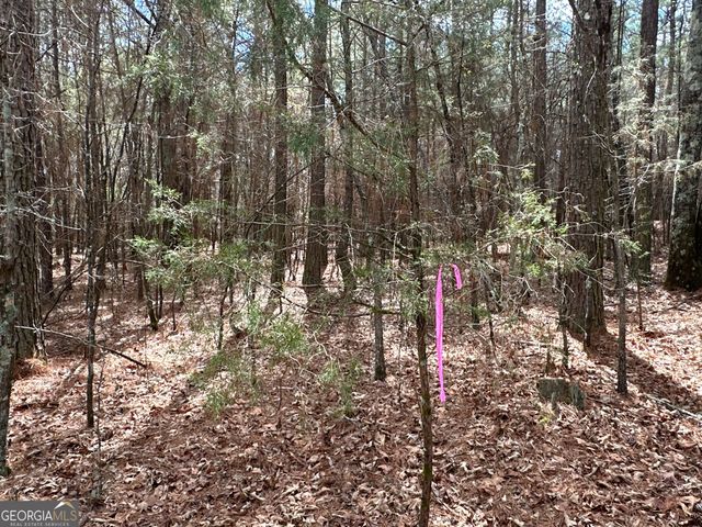 0 Popham Road TRACT 3, Taylorsville, GA 30178