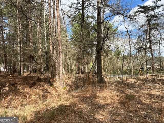0 Popham Road TRACT 3, Taylorsville, GA 30178