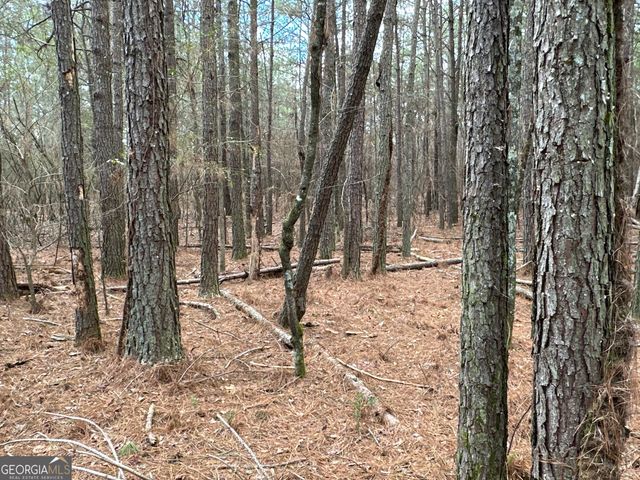 0 Popham Road TRACT 3, Taylorsville, GA 30178
