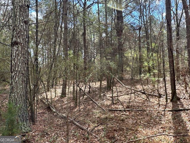 0 Popham Road TRACT 3, Taylorsville, GA 30178