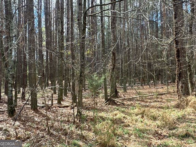 0 Popham Road TRACT 3, Taylorsville, GA 30178