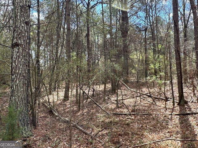 0 Popham Road TRACT 3, Taylorsville, GA 30178
