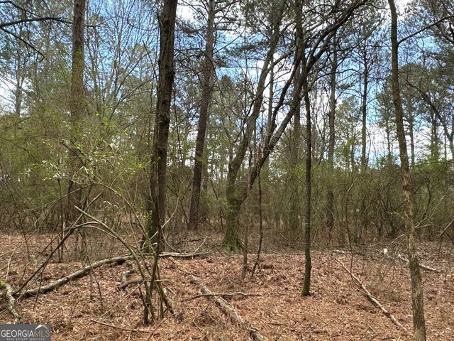 0 Popham Road TRACT 3, Taylorsville, GA 30178