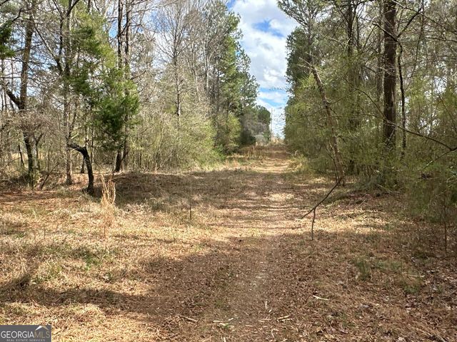 0 Popham Road TRACT 3, Taylorsville, GA 30178