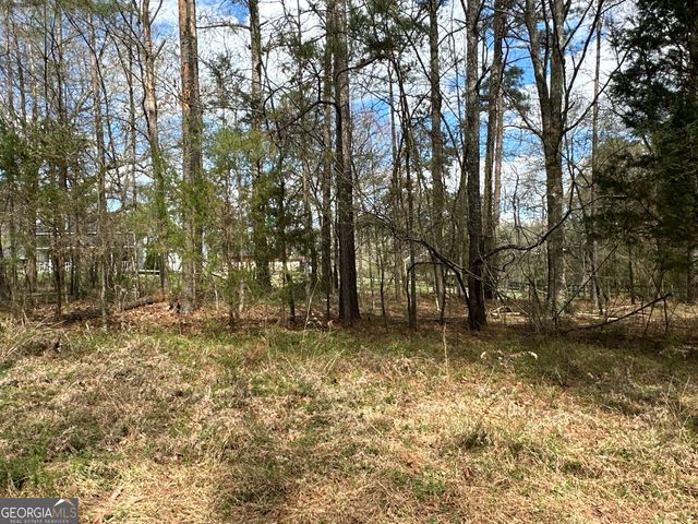 0 Popham Road TRACT 3, Taylorsville, GA 30178