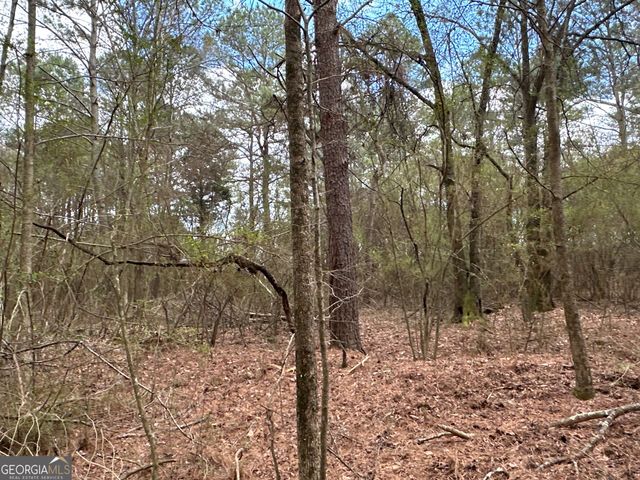 0 Popham Road TRACT 3, Taylorsville, GA 30178
