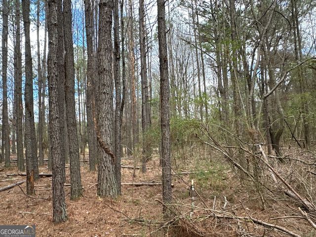 0 Popham Road TRACT 3, Taylorsville, GA 30178