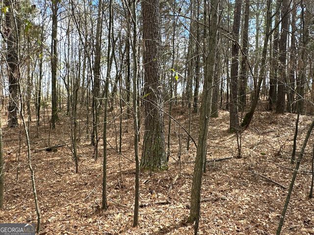 0 Popham Road TRACT 3, Taylorsville, GA 30178