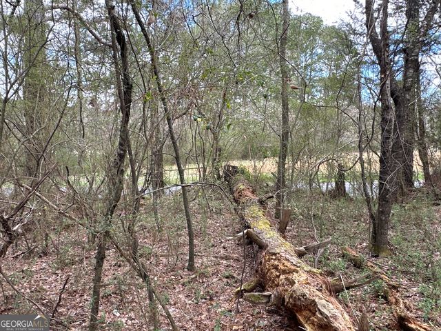 0 Popham Road TRACT 3, Taylorsville, GA 30178