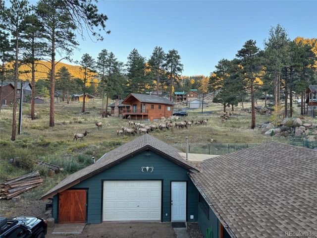 810 Larkspur Road, Estes Park, CO 80517