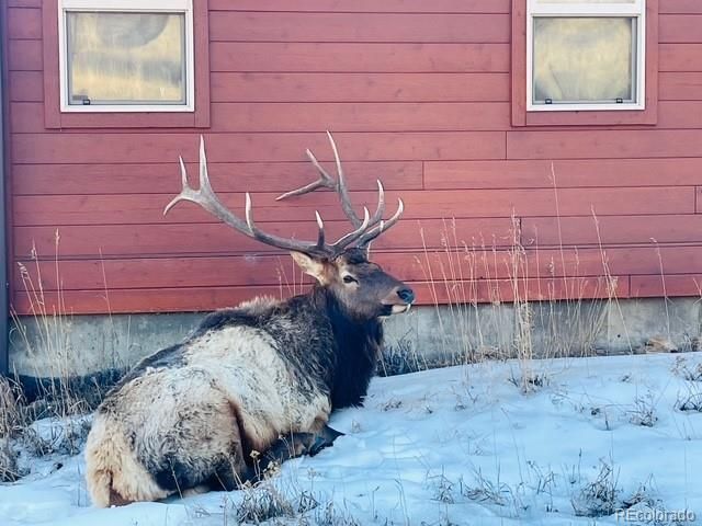 810 Larkspur Road, Estes Park, CO 80517