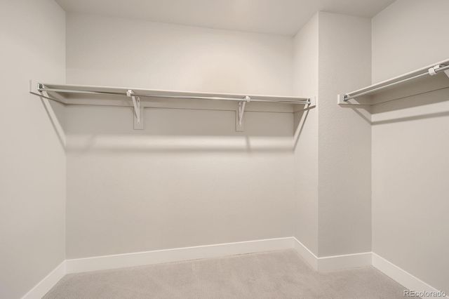 20 Wilcox Street 316, Castle Rock, CO 80104