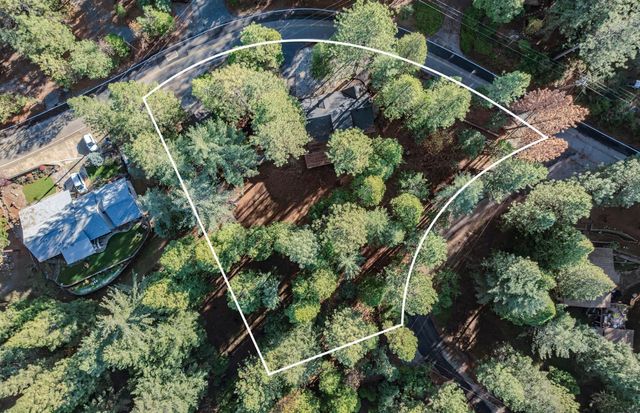 26005 Sugar Pine Dr, Pioneer, CA 95666