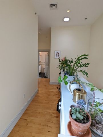 210 Erie Street 3, Cambridge, MA 02139