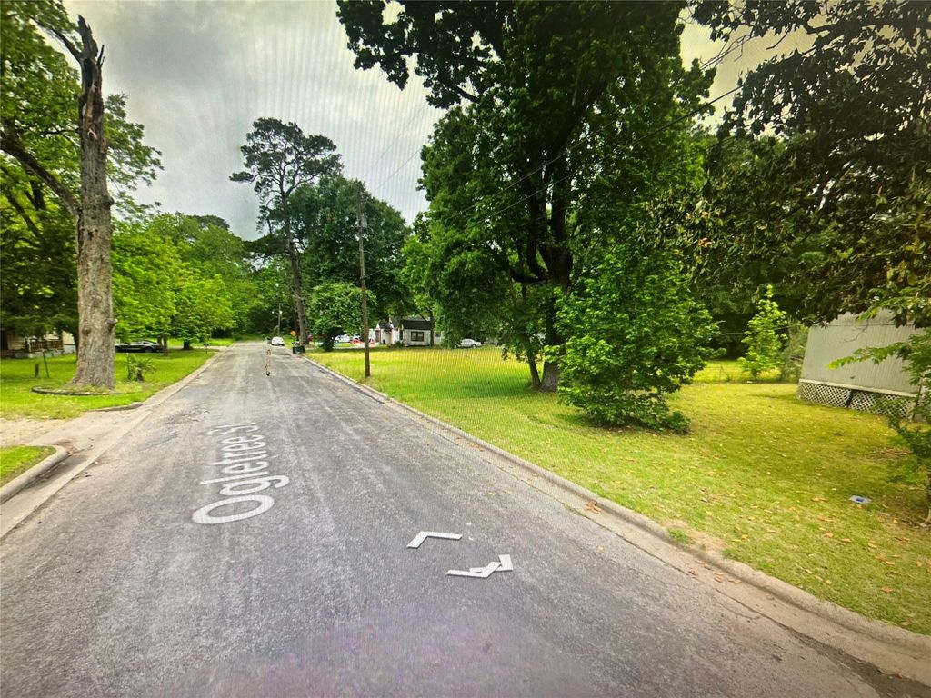 220 S Jackson Avenue, Livingston, TX 77351