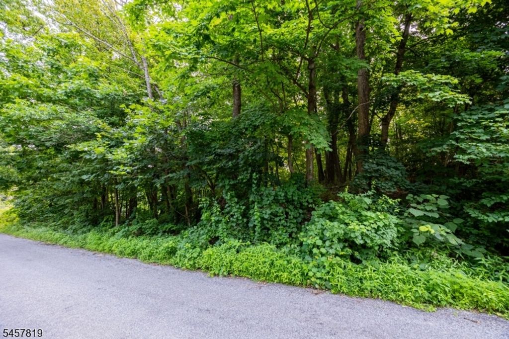 38 Evergreen Trl, Vernon Twp., NJ 07462 — photo 5