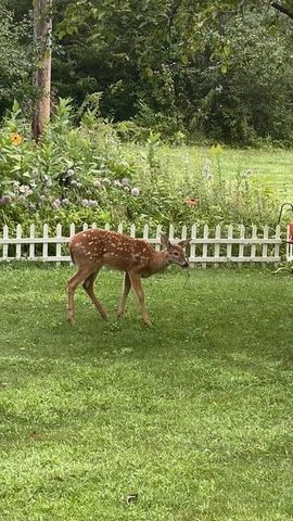 391 1st Avenue SE, Cold Spring, MN 56320