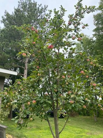 391 1st Avenue SE, Cold Spring, MN 56320