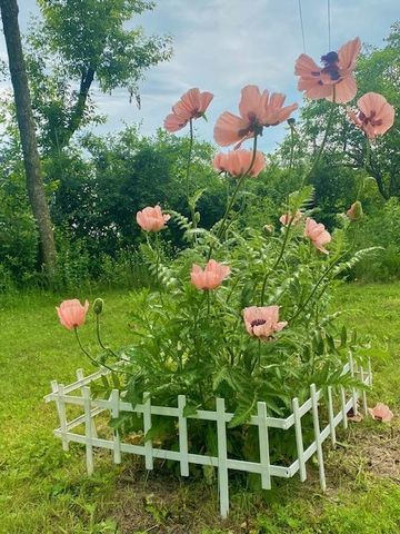 391 1st Avenue SE, Cold Spring, MN 56320