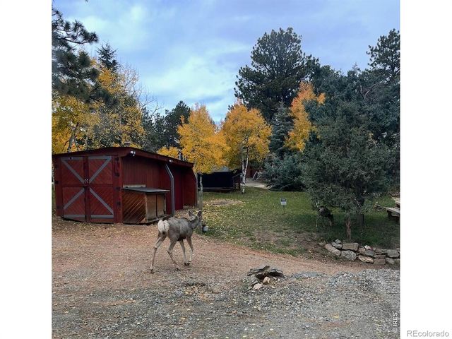 280 Bunny Road, Bailey, CO 80421