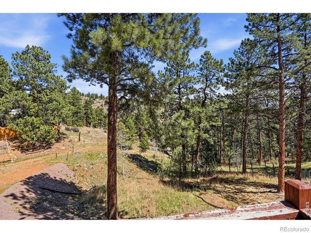 280 Bunny Road, Bailey, CO 80421