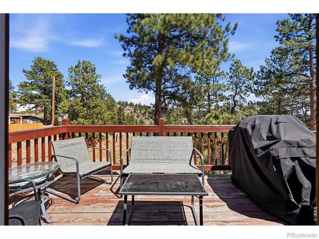 280 Bunny Road, Bailey, CO 80421