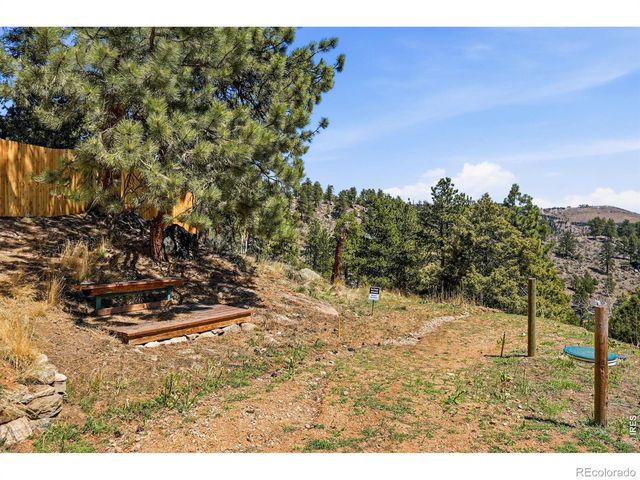 280 Bunny Road, Bailey, CO 80421