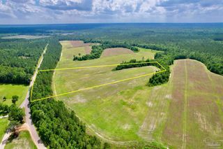 Lot 48 Mineral Springs Rd, Jay, FL 32565