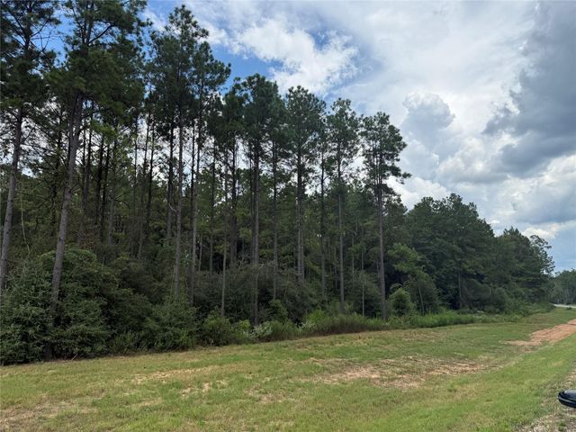 15648 Cricket Creek Court, Willis, TX 77378