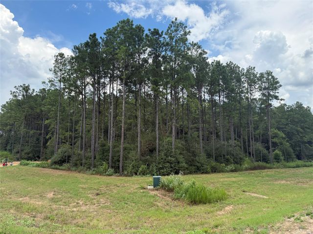 15648 Cricket Creek Court, Willis, TX 77378