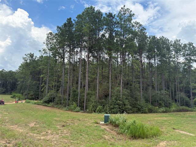 15648 Cricket Creek Court, Willis, TX 77378
