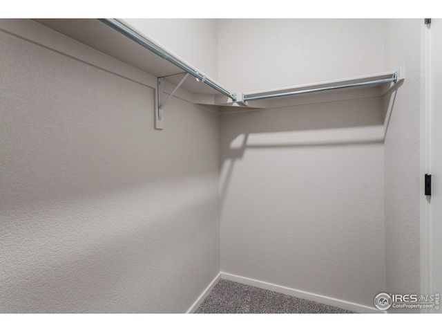 1825 Bounty Dr 5, Windsor, CO 80550